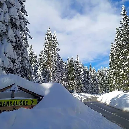 Jelka Pokljuka