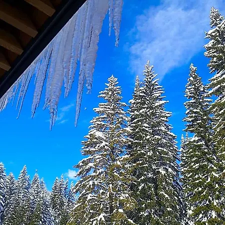 Jelka Pokljuka